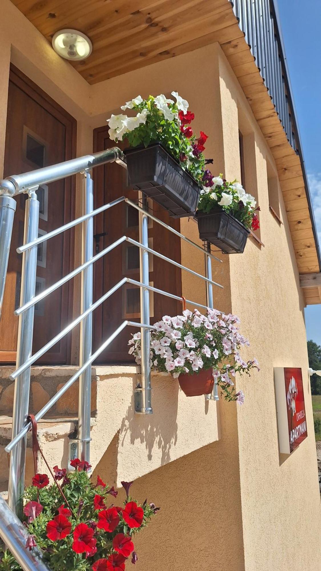 Apartments Orchidea Žabljak Exterior foto