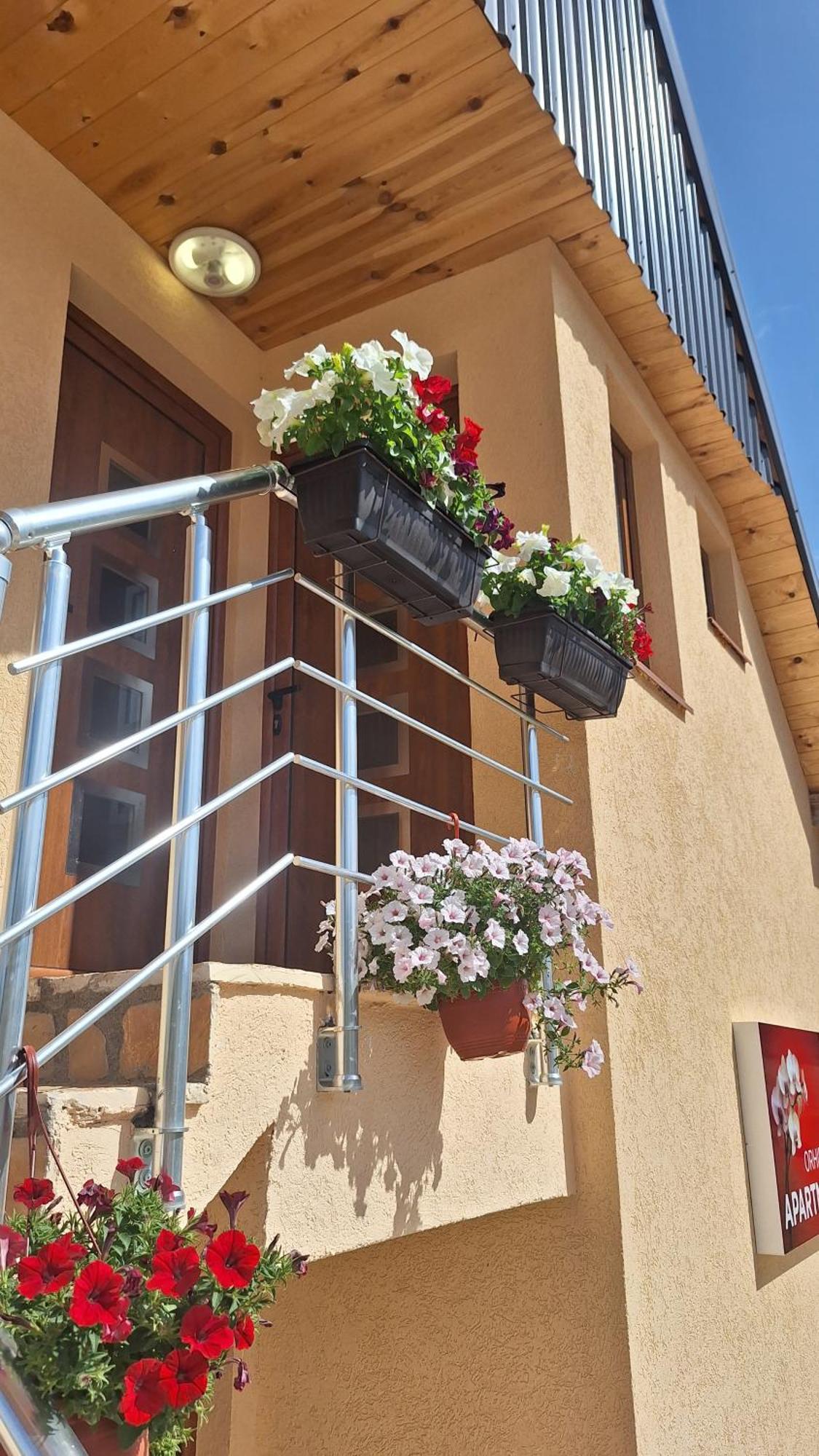 Apartments Orchidea Žabljak Exterior foto